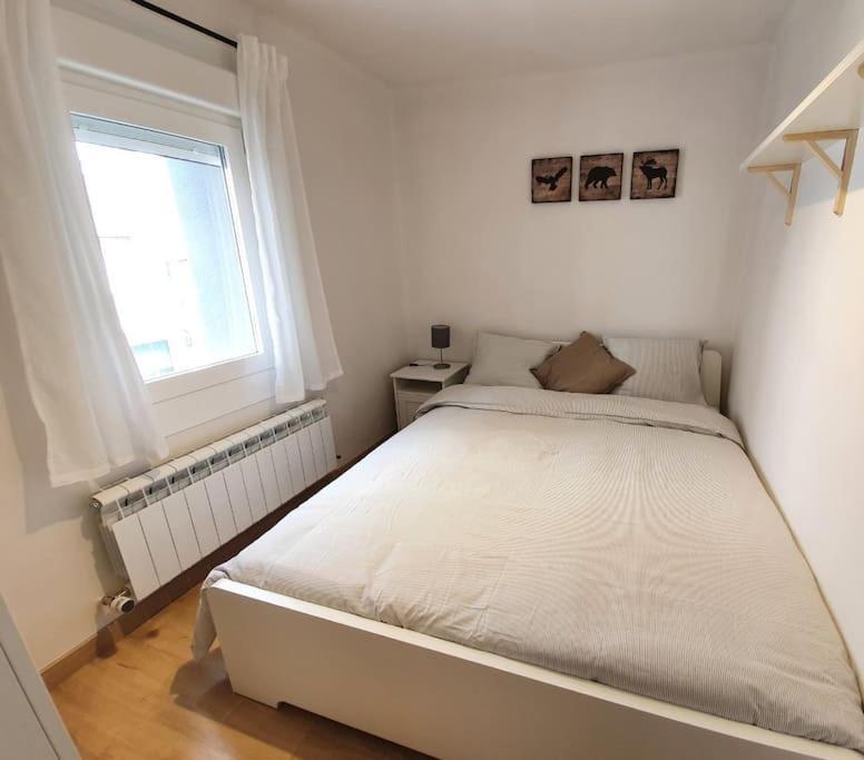 Apartament Acogedor Piso En El Centro De Sabiñánigo Zewnętrze zdjęcie